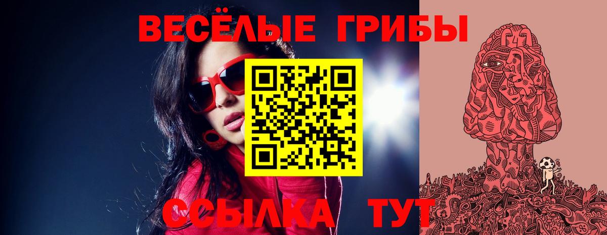 Галлюциногенные грибы Psilocybe  Вход с VPN  Королёв 